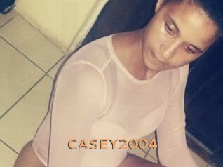 CASEY2004