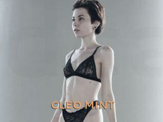 CLEO_MINT