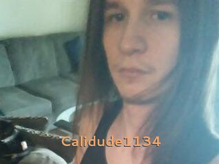 Calidude1134