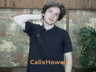 CalixHowell Du Cul A Gogo
