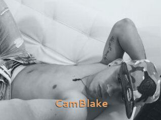 Cam_Blake Du Cul A Gogo