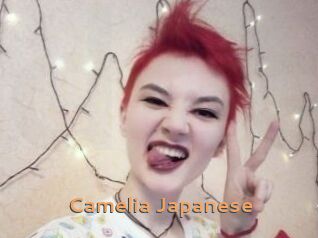 Camelia_Japanese Du Cul A Gogo