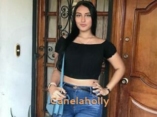Canelaholly