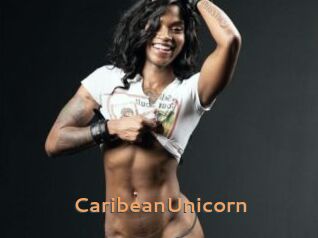 CaribeanUnicorn Du Cul A Gogo