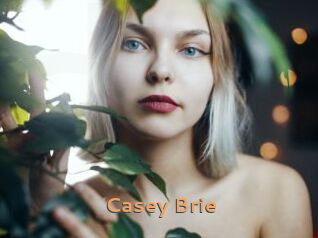 Casey_Brie