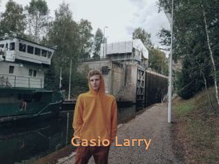 Casio_Larry