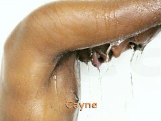 Cayne Du Cul A Gogo