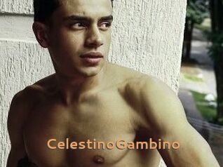 CelestinoGambino