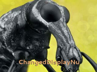 ChangedDisplayNu