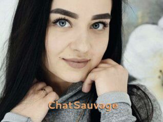 ChatSauvage