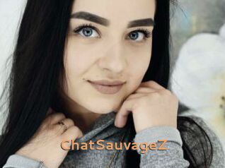 ChatSauvageZ Du Cul A Gogo