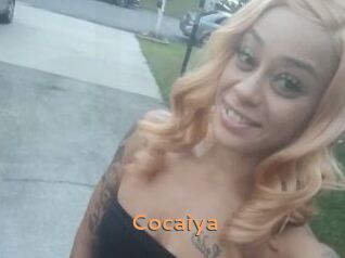 Cocaiya Du Cul A Gogo