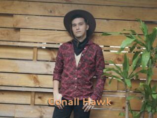 Conall_Hawk