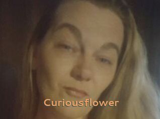 Curiousflower