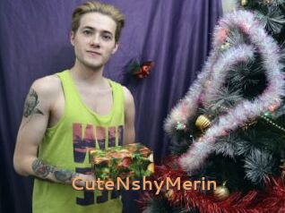 CuteNshyMerin