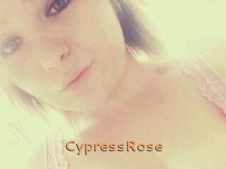 Cypress_Rose