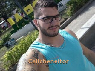Calicheneitor