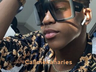 callmekanaries Du Cul A Gogo