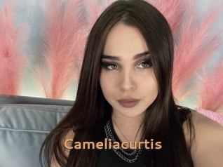 Cameliacurtis