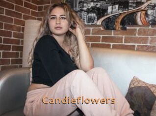 Candieflowers