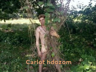 Carlot_hdozom