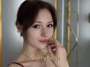 Carrybush