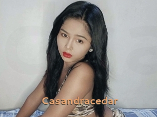 Casandracedar