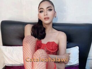 Cataleahalawi