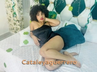 Cataleyaguerrero