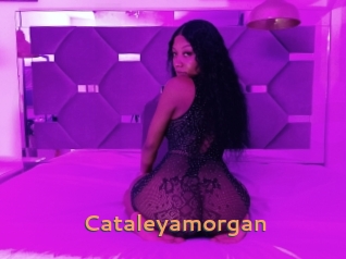Cataleyamorgan