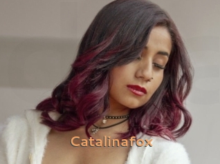 Catalinafox