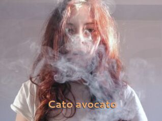 Cato_avocato