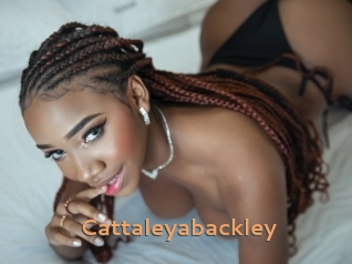 Cattaleyabackley