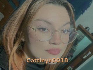 Cattleya0018