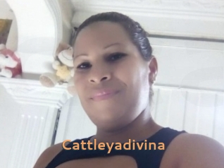 Cattleyadivina