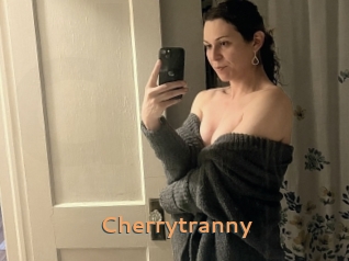 cherrytranny Du Cul A Gogo