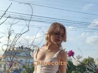 Chloecolts