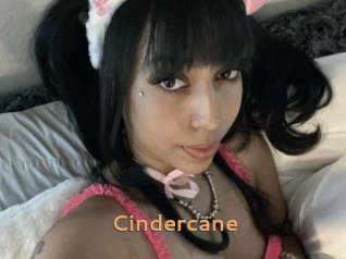 cindercane Du Cul A Gogo