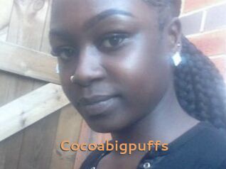 Cocoabigpuffs