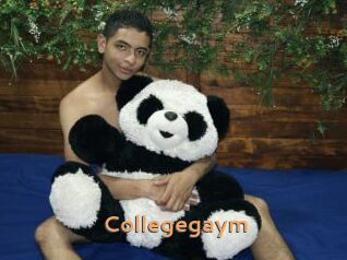 collegegaym Du Cul A Gogo
