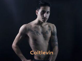 Coltlevin