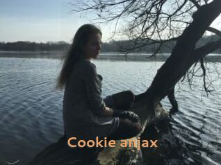 Cookie_anjax