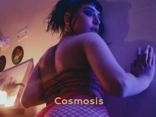 Cosmosis