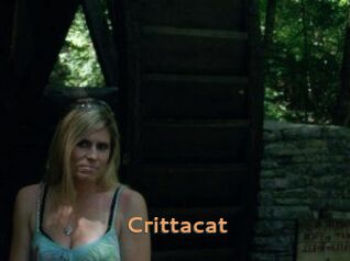 Crittacat