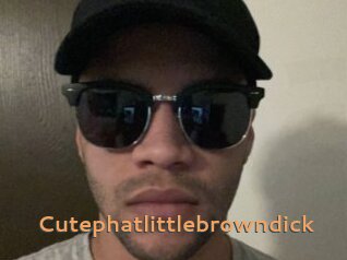 Cutephatlittlebrowndick