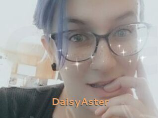 DaisyAster