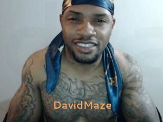 David_Maze