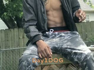 Day1DOG