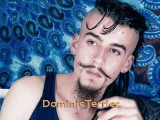 DominicTerrier Du Cul A Gogo