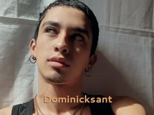 Dominicksant